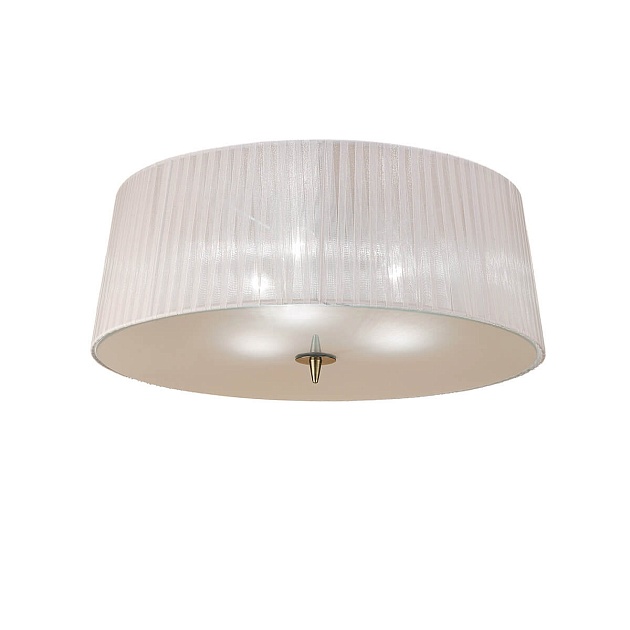 Потолочный светильник Mantra Loewe 4740 изображение Потолочный светильник Mantra Loewe 4740 Фото №