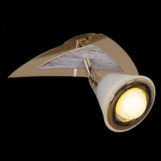 Спот Reluce 00640-0.3-01DA SWT+FGD Фото № 