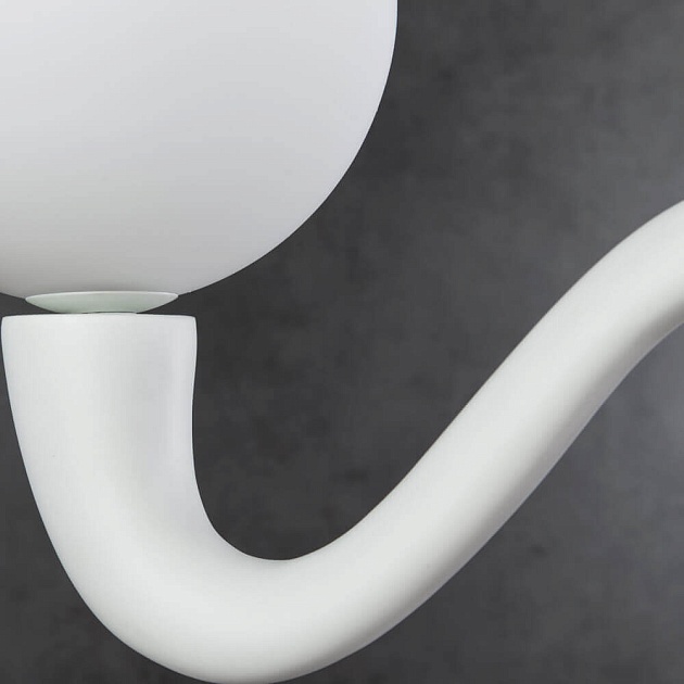 Бра Divinare Bianca 7091/01 AP-1 изображение 2 Бра Divinare Bianca 7091/01 AP-1 Фото № 2