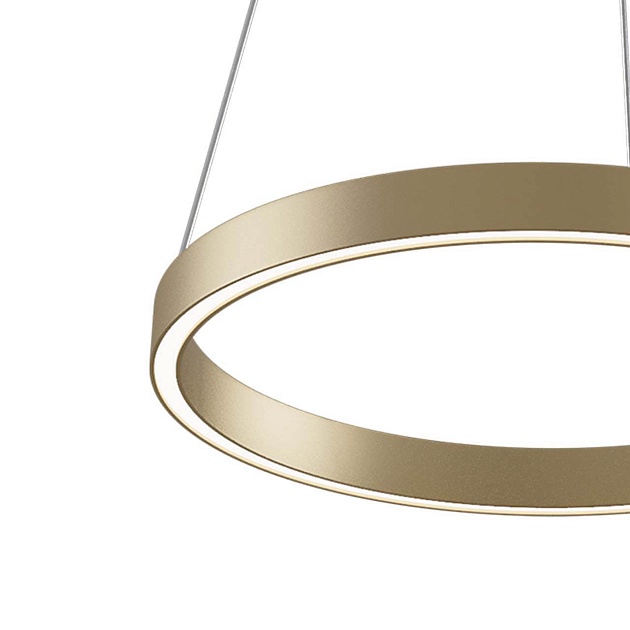 Подвесной светодиодный светильник Maytoni Rim MOD058PL-L22BS4K Фото № 3