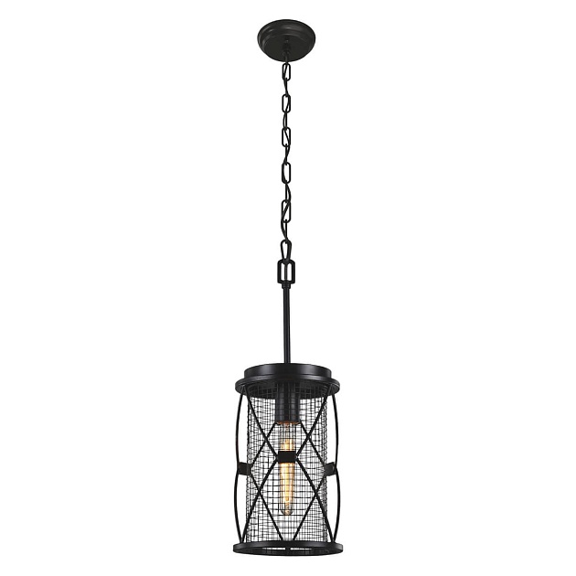Подвесной светильник Favourite Mesh 1783-1P Фото № 