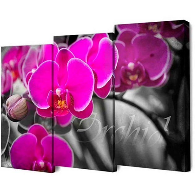 Модульная картинаToplight 100х150х3см TL-M2073 Фото № 