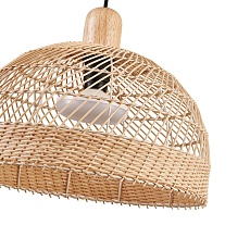 Подвесной светильник Favourite Plat 4460-1P 5