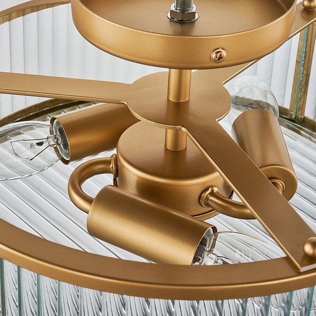 Потолочная люстра Favourite Radiales 3099-3C Фото № 7