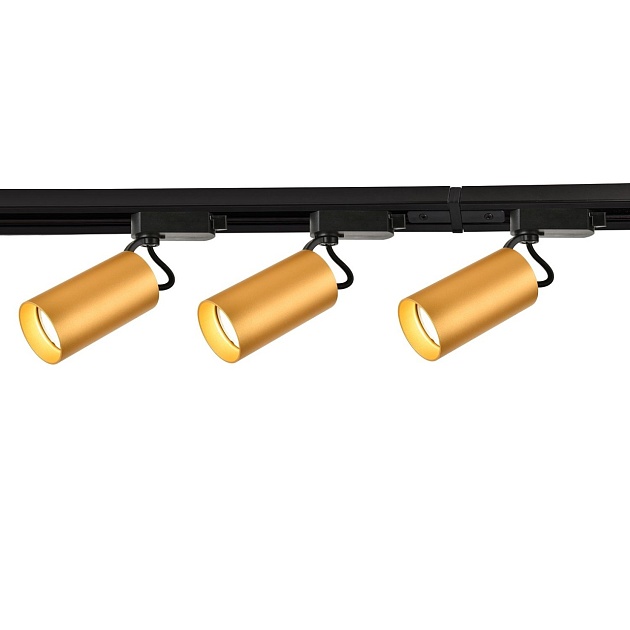 Трековый светильник Favourite Imago 4019-3U Фото № 