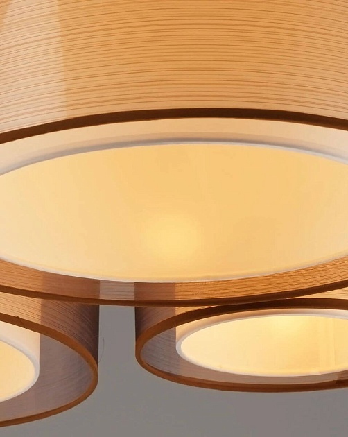 Потолочная люстра Moderli Room V10624-5C Фото № 4