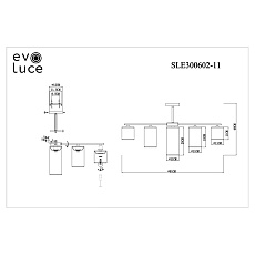 Потолочная люстра Evoluce Essenza SLE300602-11 1