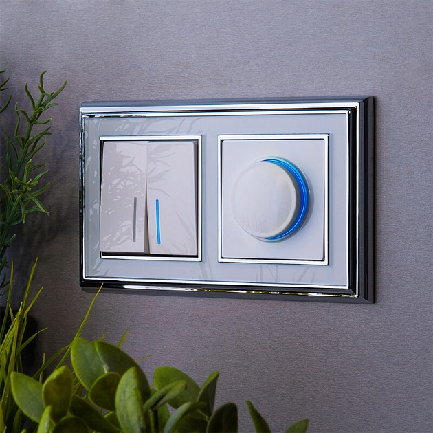 Выключатель двухклавишный с подсветкой Werkel белый W1120101 4690389155208 изображение 3 Выключатель двухклавишный с подсветкой Werkel белый W1120101 4690389155208 Фото № 3