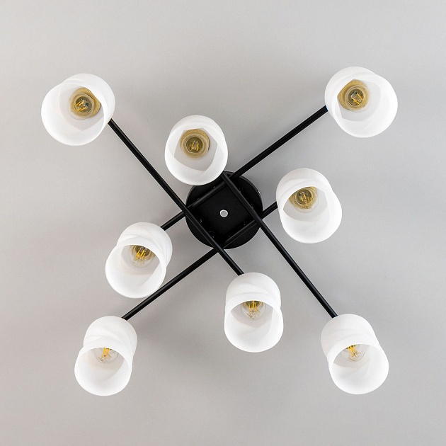 Потолочная люстра Citilux Нильс CL132185 изображение 8 Потолочная люстра Citilux Нильс CL132185 Фото № 8