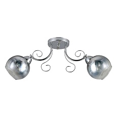 Потолочный светильник ЭкономСвет 12155/2CR CR