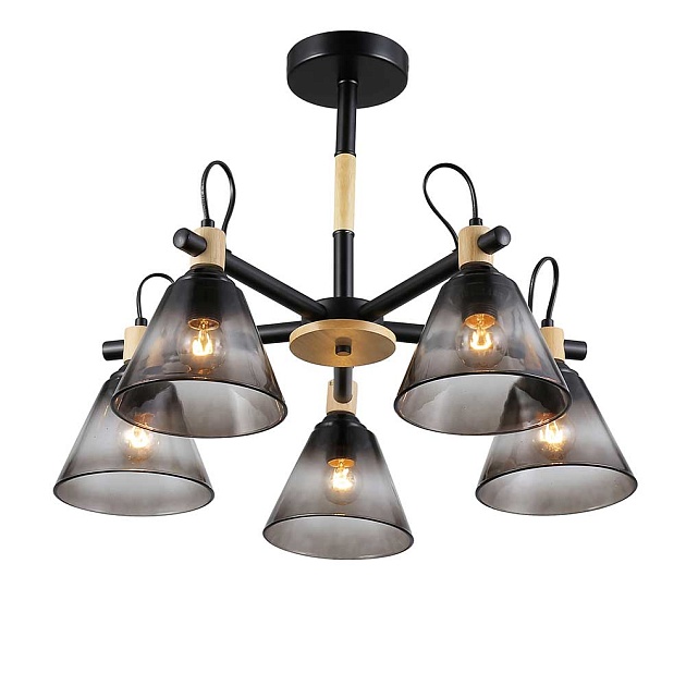 Потолочная люстра Rivoli Elmira 9117-305 Б0060524 изображение Потолочная люстра Rivoli Elmira 9117-305 Б0060524 Фото №