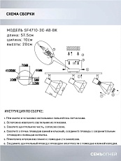 Спот Seven Fires Keri SF4710/3C-AB-BK 1