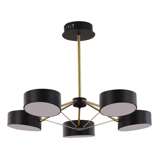 Потолочная светодиодная люстра Evoluce Valle SLE6005-402-05 изображение Потолочная светодиодная люстра Evoluce Valle SLE6005-402-05 Фото №