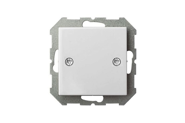 Заглушка Liregus Epsilon белый 28-0101 изображение 2 Заглушка Liregus Epsilon белый 28-0101 Фото № 2