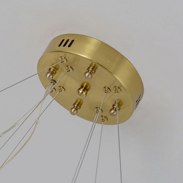 Подвесной светодиодный светильник Favourite Placerat 4012-12P Фото № 3