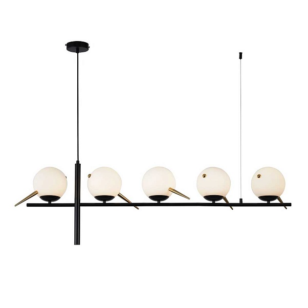 Подвесная люстра F-Promo Tior 4106-5P Фото № 