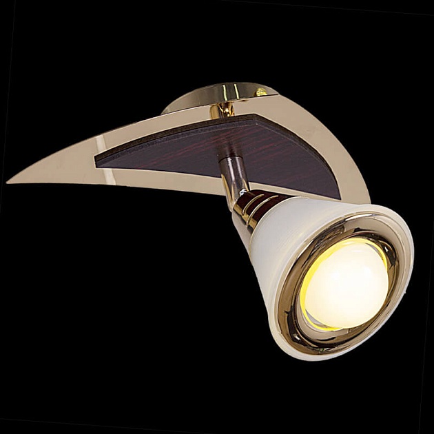 Спот Reluce 00640-0.3-01DA FGD+WD Фото № 