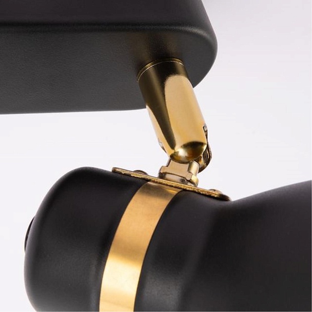 Спот Arte Lamp Fafnir A5047PL-2BK Фото № 2