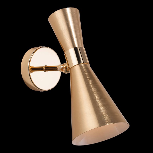 Спот Lightstar Dumo 816611 Фото № 2