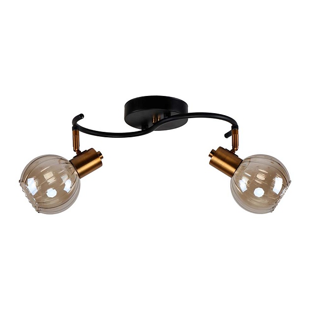 Спот ЭкономСвет 20785/2GD+BK BR Фото № 