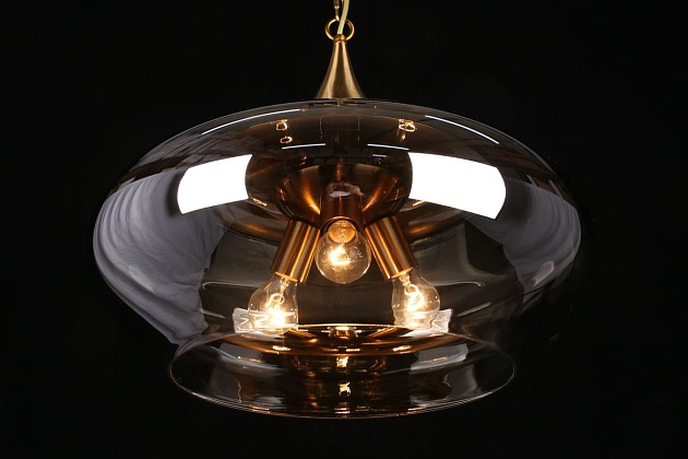 Подвесная люстра Aployt Franko APL.601.16.03 изображение 4 Подвесная люстра Aployt Franko APL.601.16.03 Фото № 4