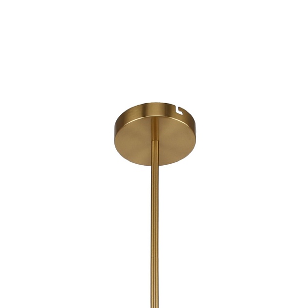 Подвесная люстра F-Promo Ducan 3093-8P Фото № 3