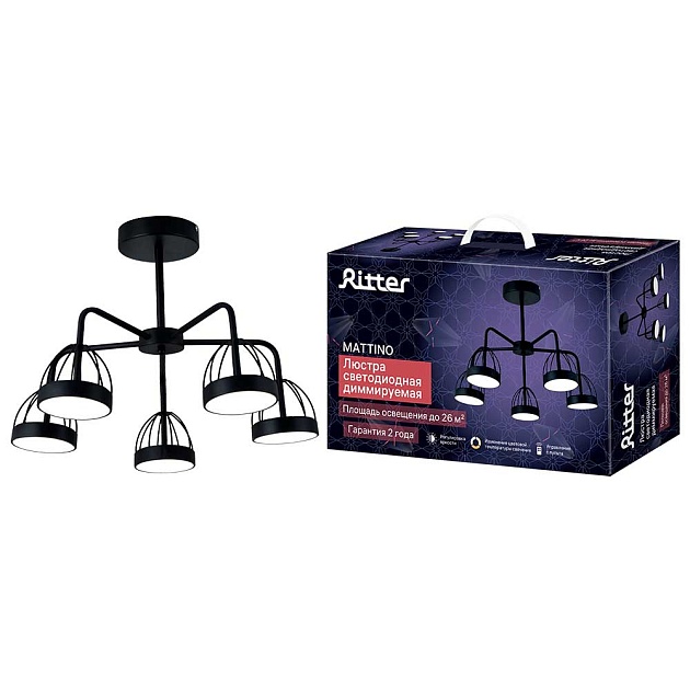Потолочная люстра Ritter MATTINO 51594 8 Фото № 