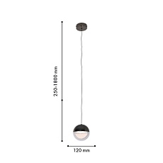Подвесной светодиодный светильник Favourite Luna 4369-1P 1