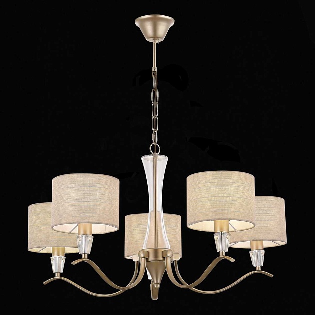 Подвесная люстра Evoluce Cassia SLE1126-203-05 Фото № 4